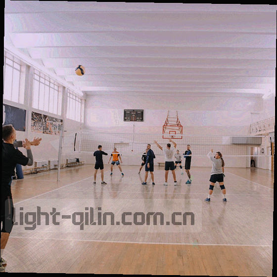 手机屏幕上的中文版面板示意，检索框与问题反馈入口位于首页显眼位置
